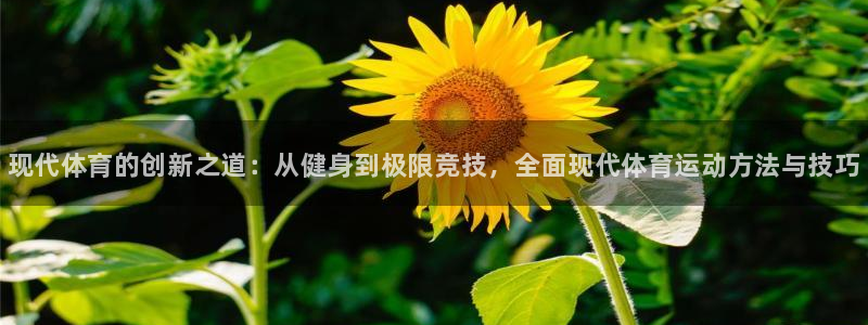 海南yy易游官网下载：现代体育的创新之道：从健身到极