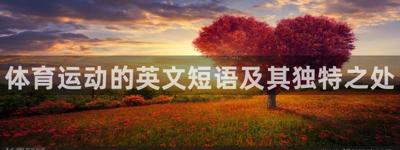 yy易游官方正版app集团logo：体育运动的英文短