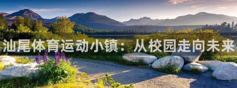 yy易游官方正版app官网：汕尾体育运动小镇：从校园走向未来
