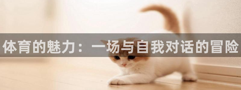 yy易游官网下载招商电话地址：体育的魅力：一场与自我对话的冒