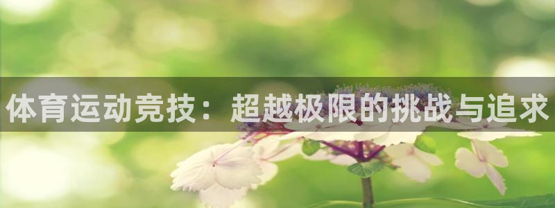 yy易游官网下载招商电话号码是多少号：体育运动竞技：超越极限