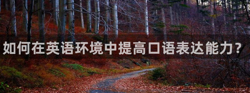德国yy易游官方正版app集团：如何在英语环境中提高口语表达