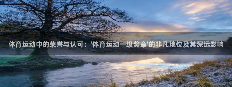 yy易游官网下载娱乐：体育运动中的荣誉与认可：\'体