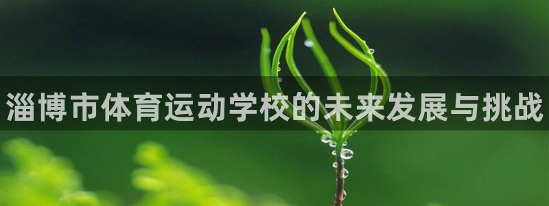 yy易游官方正版app五金厂：淄博市体育运动学校的未