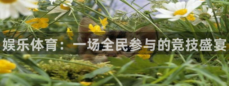 yy易游官方正版app五金厂：娱乐体育：一场全民参与的竞技盛