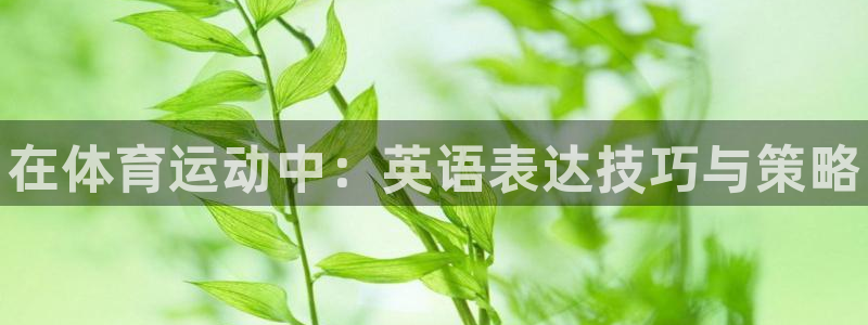 yy易游官网下载招商电话是多少：在体育运动中：英语表达技巧与