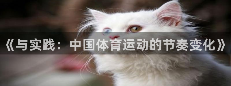 yy易游官方正版app娱乐网站：《与实践：中国体育运动的节奏