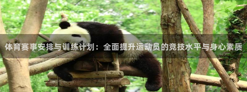 yy易游官网下载招商电话是多少啊：体育赛事安排与训练