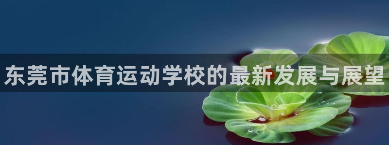 yy易游官网下载平台是正规平台吗知乎：东莞市体育运动学校的最