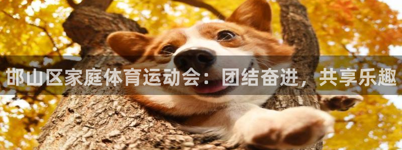 yy易游官方正版app代理：邯山区家庭体育运动会：团结奋进，