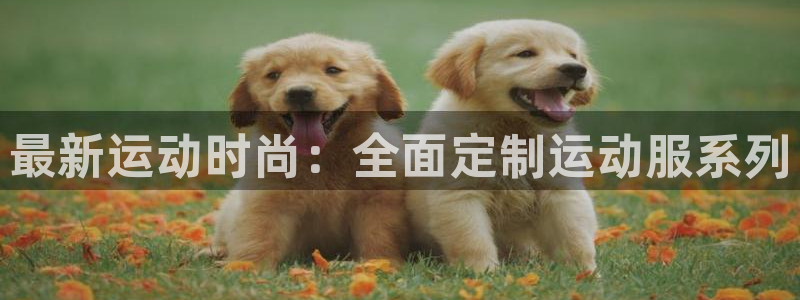 yy易游官网下载平台是正规平台吗安全吗：最新运动时尚：全面定