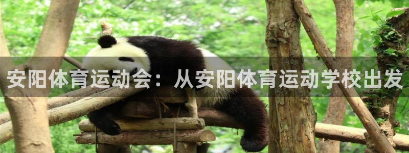yy易游官方正版app娱乐首页官网下载：安阳体育运动会：从安
