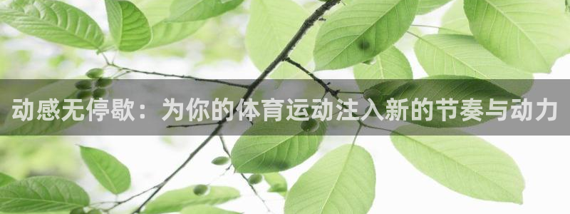 yy易游官网下载平台假的吗是真的吗吗：动感无停歇：为你的体育