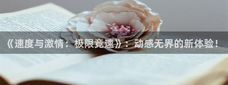 yy易游官方正版app集团官网网址：《速度与激情：极限竞速》