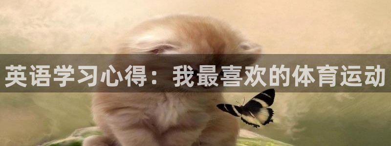 yy易游官网下载平台：英语学习心得：我最喜欢的体育运动
