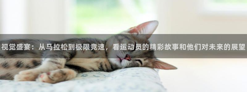 yy易游官方正版app神州
