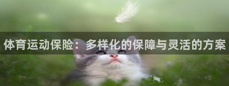 yy易游官方正版app娱乐平台：体育运动保险：多样化