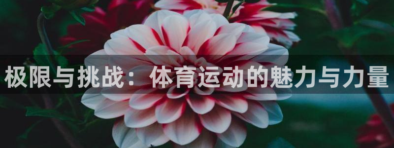 yy易游官网下载开户：极限与挑战：体育运动的魅力与力