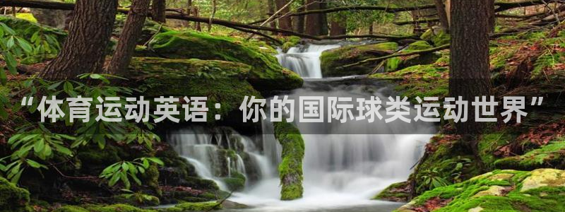 yy易游官方正版app集团简介：“体育运动英语：你的国际球类