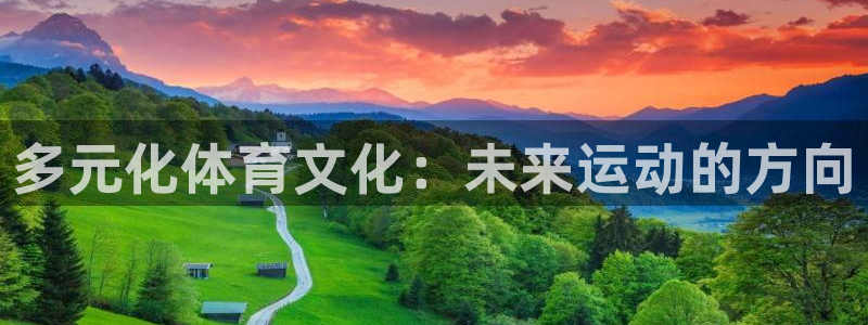 yy易游官网下载平台：多元化体育文化：未来运动的方向