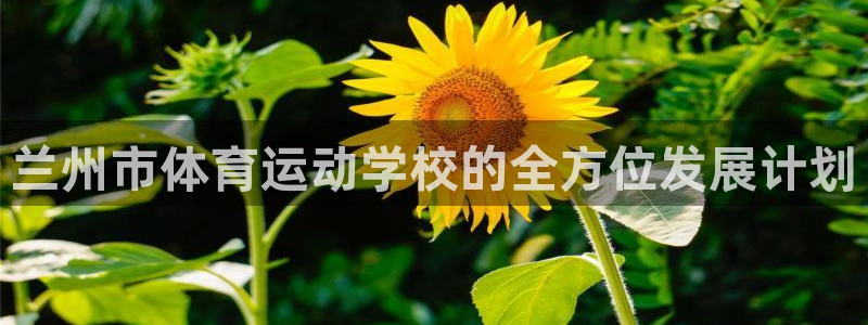 yy易游官网下载软件：兰州市体育运动学校的全方位发展