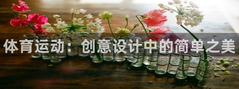yy易游官网下载招商电话是多少：体育运动：创意设计中的简单之