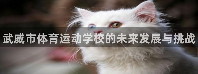 yy易游官方正版app集团E.ON：武威市体育运动学校的未来