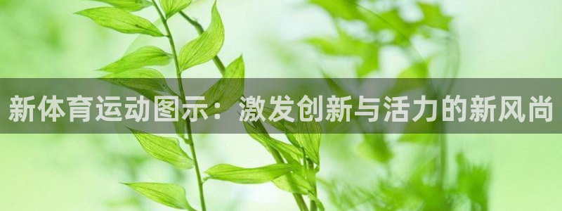 yy易游体育米乐：新体育运动图示：激发创新与活力的新风尚