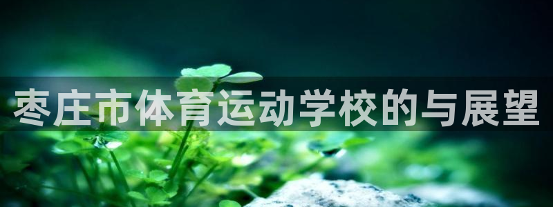 yy易游app最新版本更新内容分享：枣庄市体育运动学校的与展