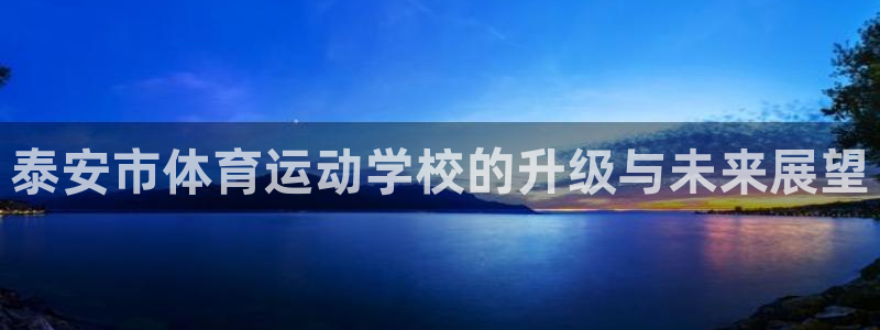 yy易游体育是什么