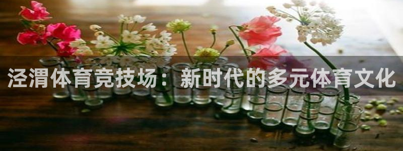  yy易游体育是正规的吗安全吗可靠吗：泾渭体育竞技场：新时代的