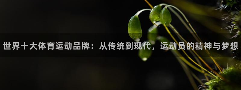 yy易游体育电竞怎么样：世界十大体育