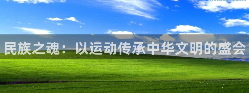 yy易游体育怎么样知乎：民族之魂：以