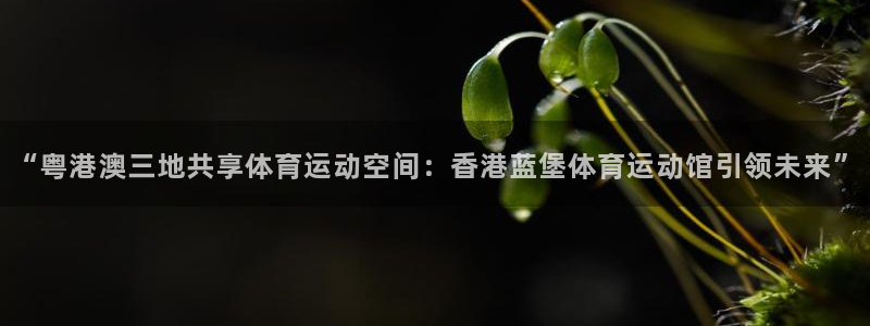 yy易游体育平台能提现吗安全吗：“粤港澳三地共享体育运动空间
