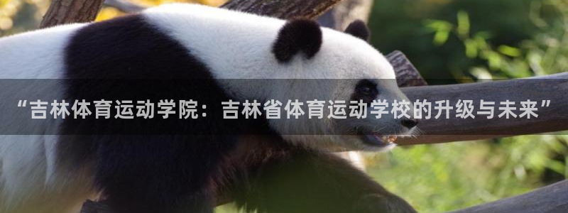  yy易游体育还能撑几年：“吉林体育运动学院：吉林省体育运动学