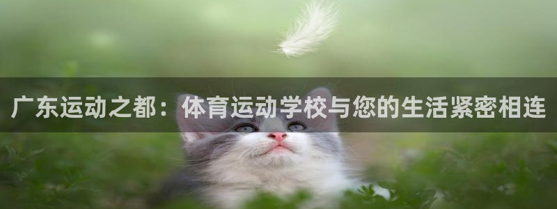  yy易游体育是正规的吗安全吗可靠吗：广东运动之都：体育运动学