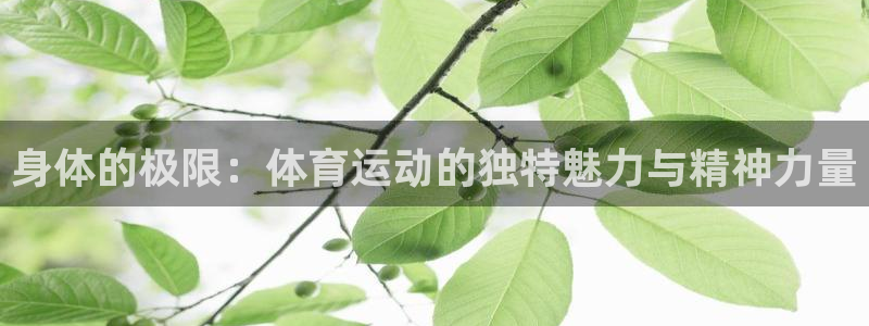 yy易游体育平台能提现吗安全吗：身体的极限：体育运动的独特魅