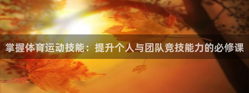 yy易游体育电竞：掌握体育运动技能：提升个人与团队竞技能力的