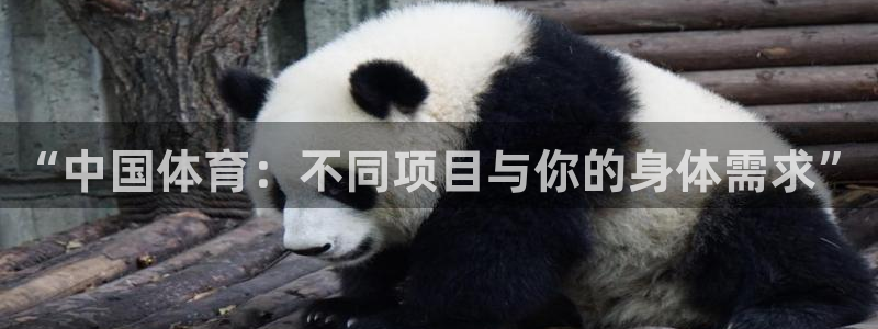  yy易游体育还能撑几年：“中国体育：不同项目与你的身体需求”