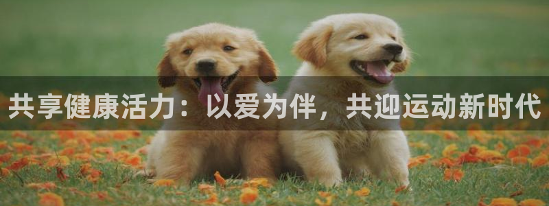 yy易游体育还能撑几年