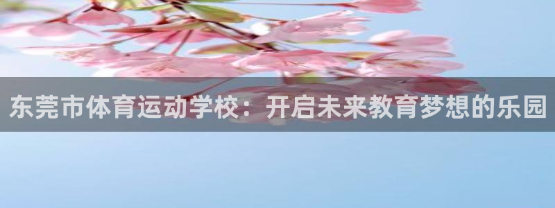 yy易游体育平台能提现吗