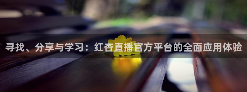 雨燕足球直播免费