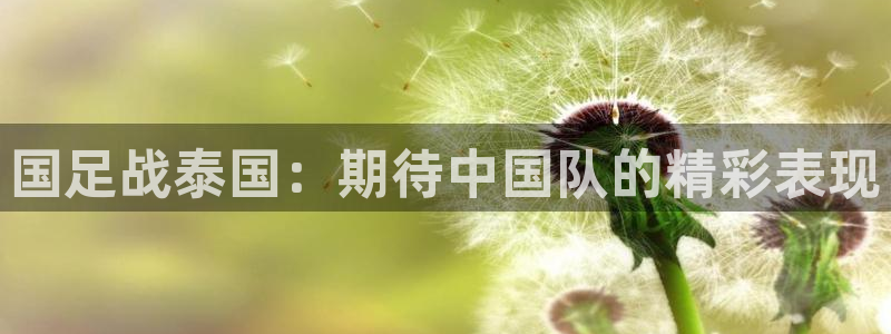 雨燕足球免费直播